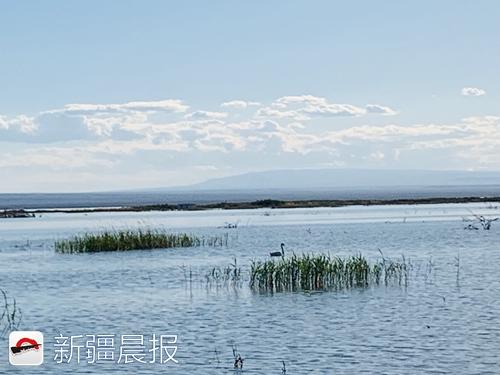 奔着“骆驼”来旅居，中国骆驼小镇在福?？そㄉ? inline=