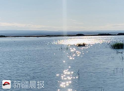 奔着“骆驼”来旅居，中国骆驼小镇在福?？そㄉ? inline=