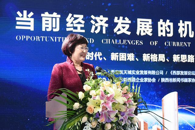 陕西省决策咨询委委员、陕西中国西部发展研究中心副理事长薛晓燕