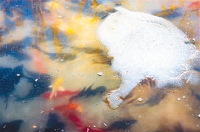 rmrbhwb2020113011p30_b.jpg