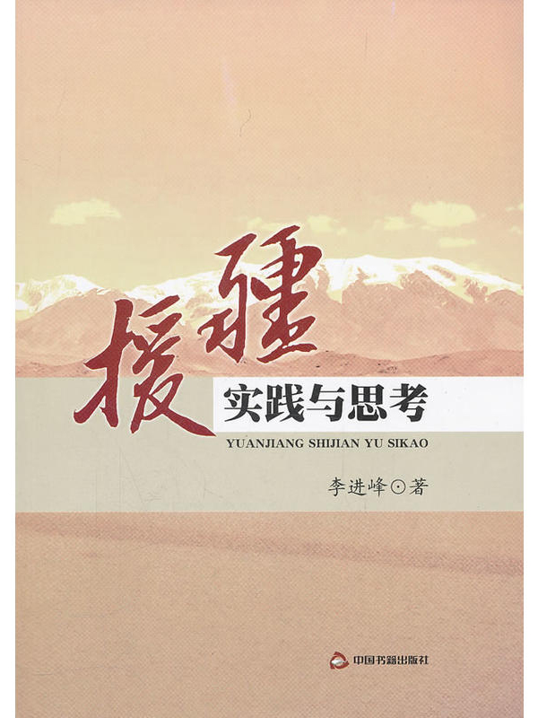 《援疆实践与思考》
