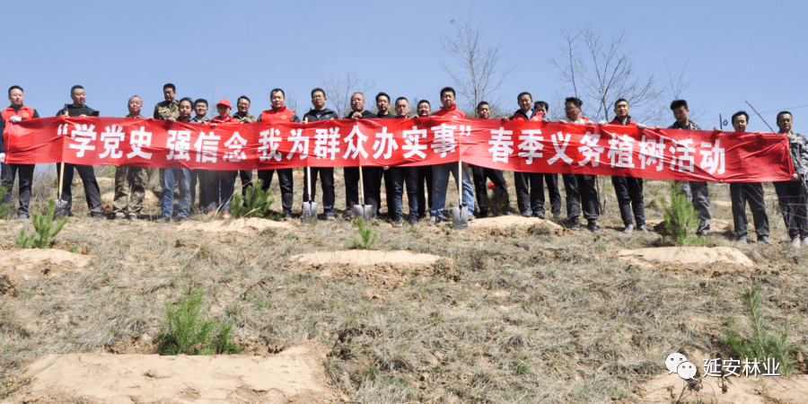 500亩，5万株，志丹县这样迎接全民义务植树运动40周年