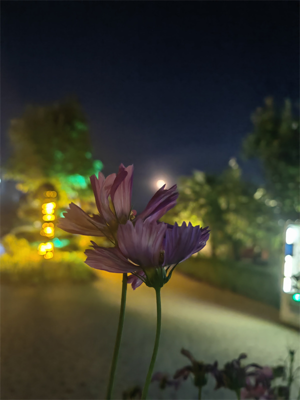 微信图片_20220927013041